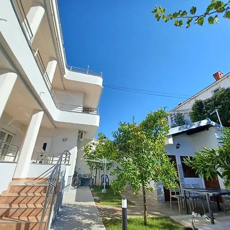Summer 2026 Near The Zadar