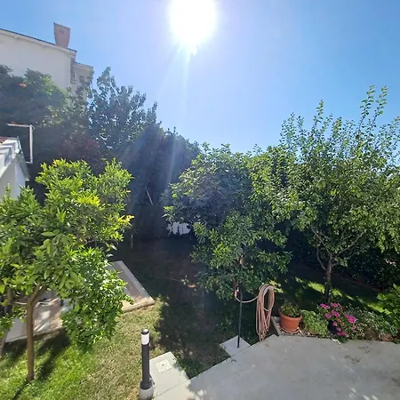 Ryanair's Summer Vacation Near The Apartment *