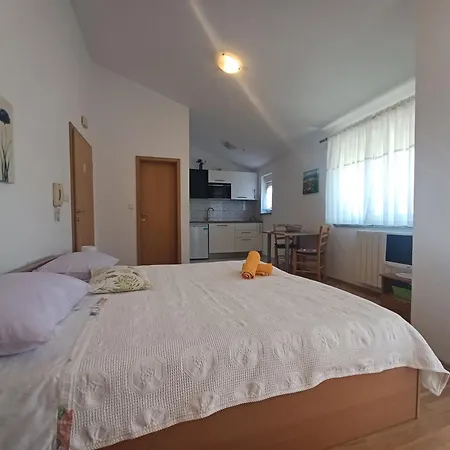 Apartment Ryanair's Summer Vacation Near The Zadar